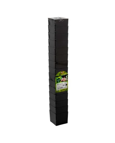 Schwarze Würfelbecher 60 Cc 47x47 Stück 15