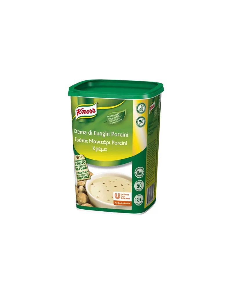 Knorr Porcini Cream 850 Grams