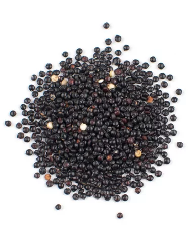 Black Quinoa Good Earth 5 Kg