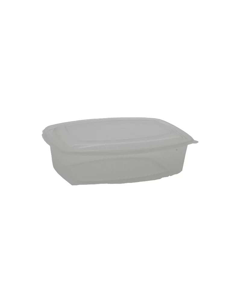 Gastric Micro Basin. 23x18h6 With-cover Cc 1500 Pieces 50.