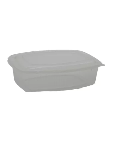 Gastric Micro Basin. 23x18h6 With-cover Cc 1500 Pieces 50.
