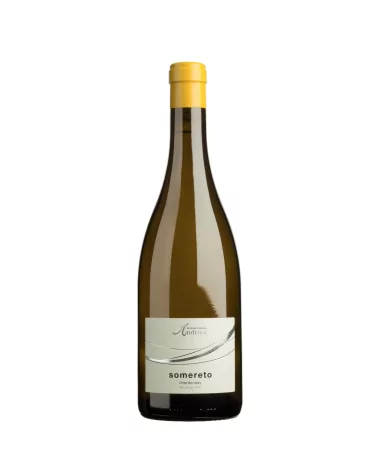 Andriano Chardonnay Somereto Doc 23 (Vinho Branco)