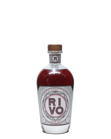 Gin Sloe Rivogin Lt. 0,50 (Destillat)