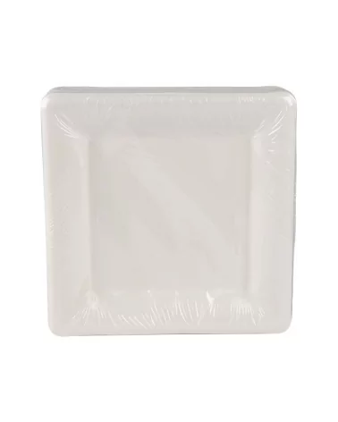 Ivory Biodegradable Square Plates 20cm Pack Of 50