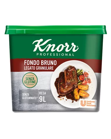 Fondo Bruno Granulado Sin Gluten Knorr Gr 500