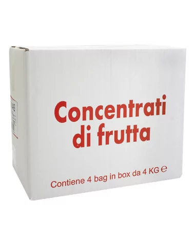 Concentrado De Jugo De Piña B.box Kg 4