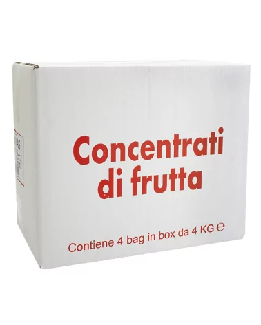 Suco Concentrado De Abacaxi Caixa 4 Kg