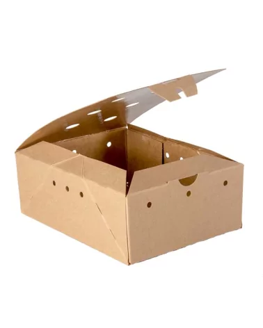 Fried Boxes Takeaway 20x15 Cm 130 Pieces