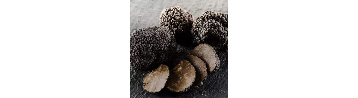 TRUFFLES AND TRUFFLE PRODUCTS